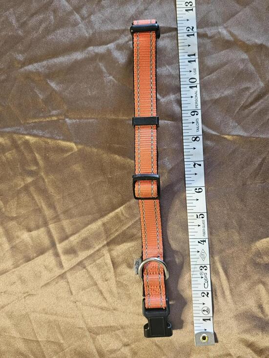 Other - Orange Adjustable Nylon Pet Collar with Buckle and D-Ring